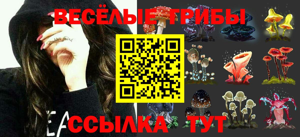 Галлюциногенные грибы Cubensis  купить наркотики цена  Михайловск  Псилоцибиновые грибы мицелий  Вход с VPN 